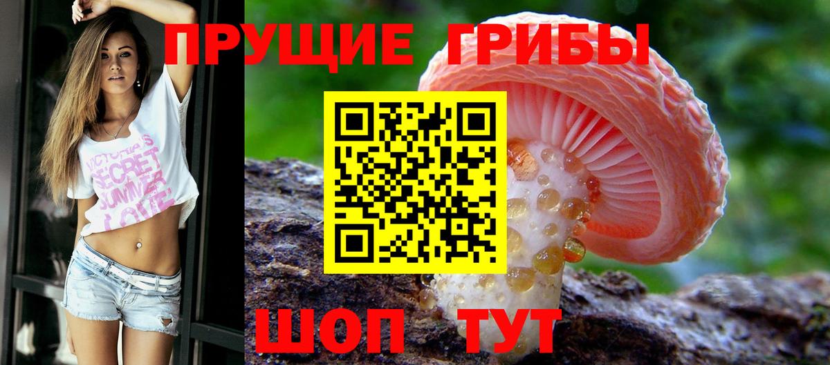 Глазов  Галлюциногенные грибы Psilocybe  Вход с VPN  Псилоцибиновые грибы ЛСД 